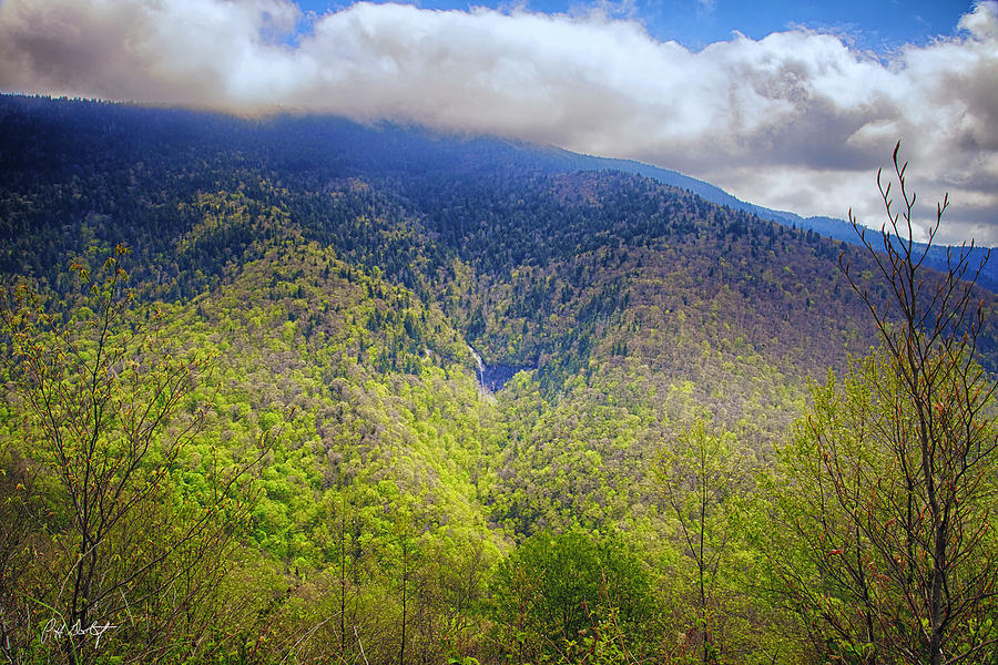 Spring In The Appalachians Photograph by Phill Doherty