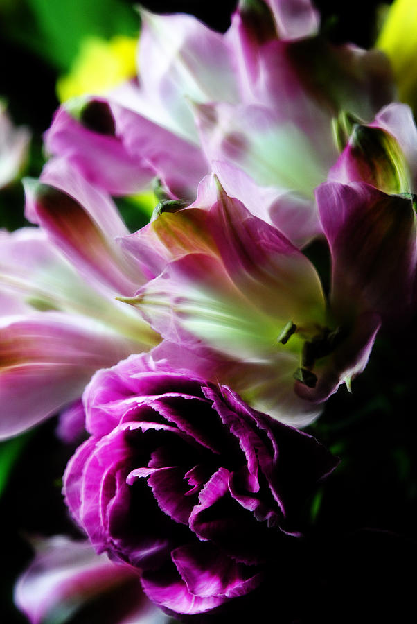  - spring-pink-carnation-bouquet-cindy-boyd