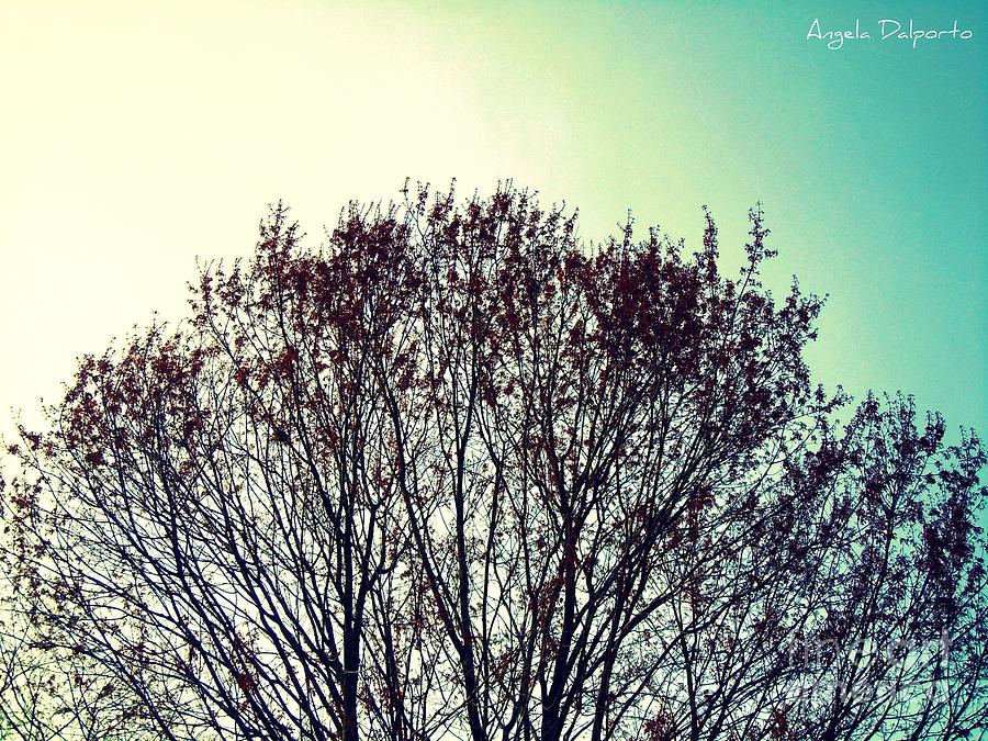  - spring-sky-angela-dalporto