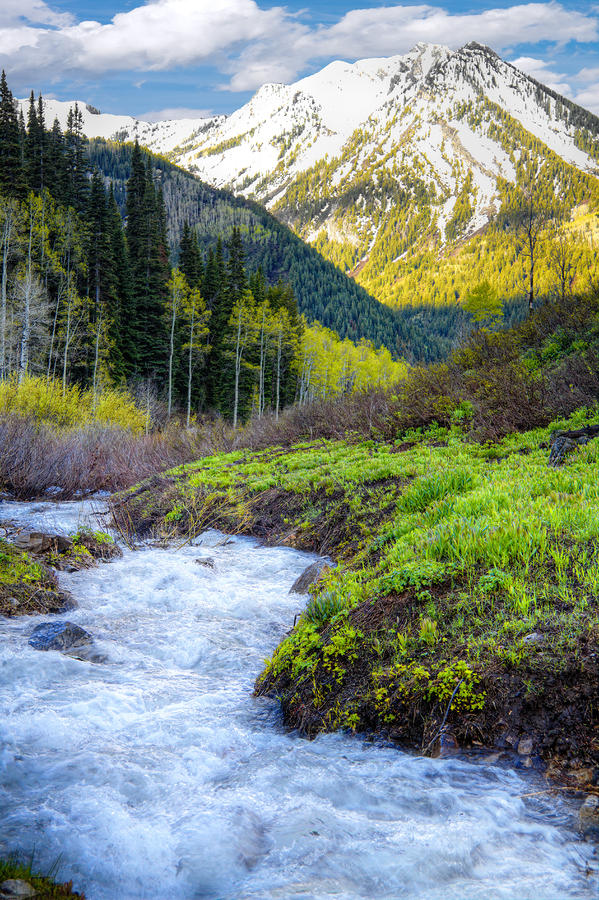 Spring Utah