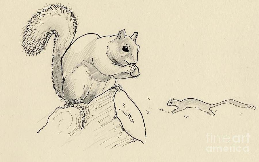 Squirrels Drawing