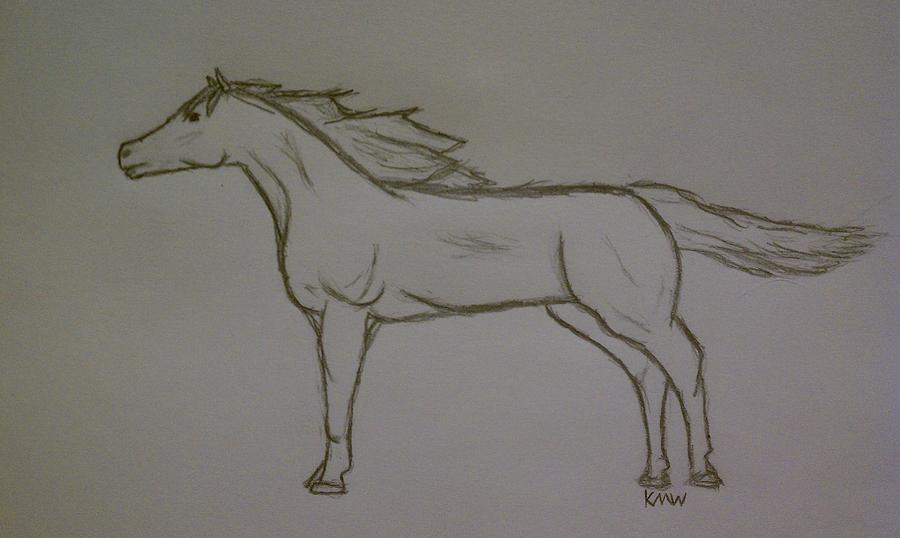 Standing Horse Drawing