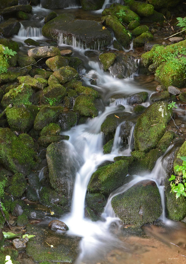 Standing In Motion Stream Cascade 004 Photograph By George Bostian