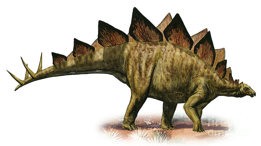 stegosaurus-armatus-a-prehistoric-era-sergey-krasovskiy.jpg