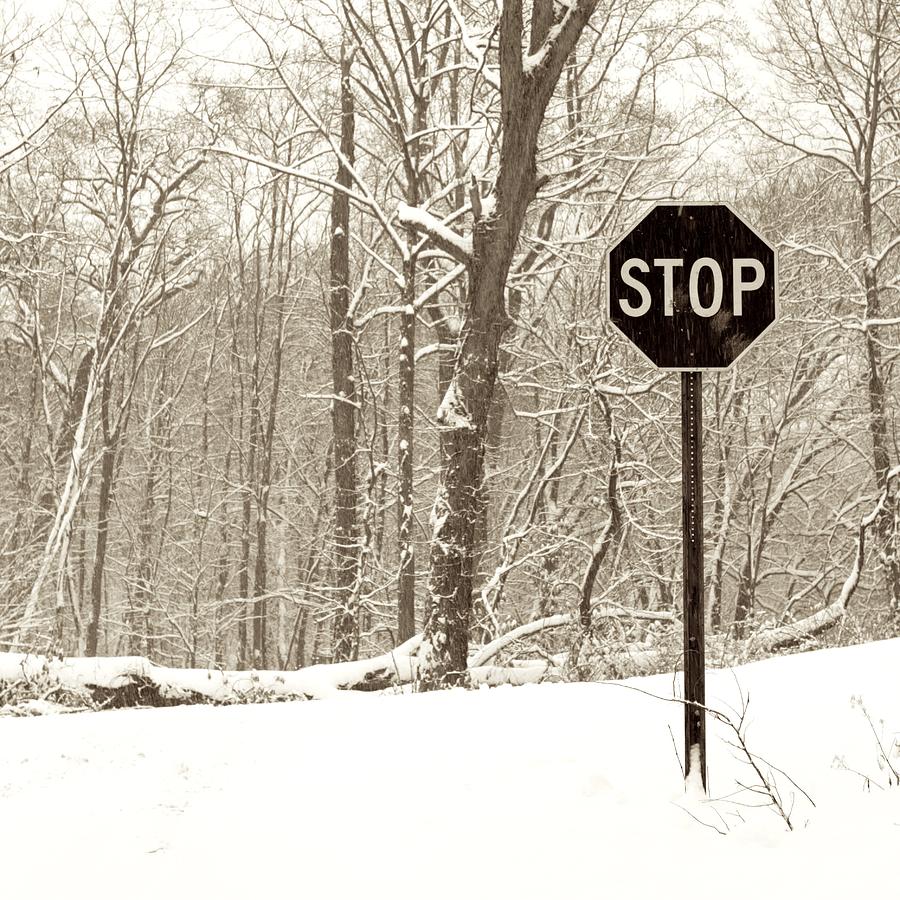 Stop Snowing Photograph by John Stephens