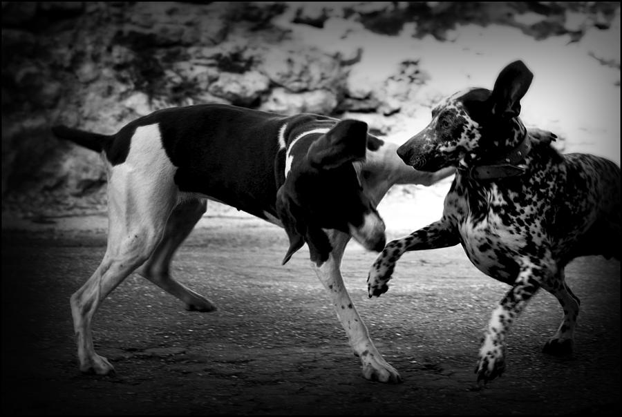  - street-fighting-girls-2-gunnar-boehme