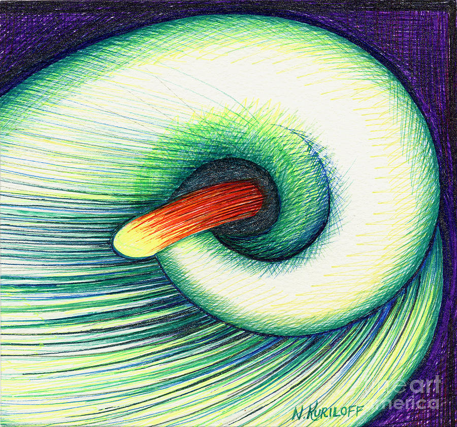 Stylized Calla Lily Flower in Cool Colors Drawing Stylized Calla Lily 