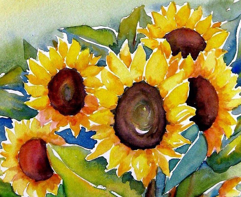  - sunflowers-meltem-kilic