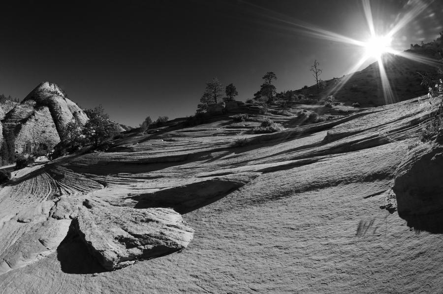  - sunset-in-zion-national-park-utah-markus-goerg