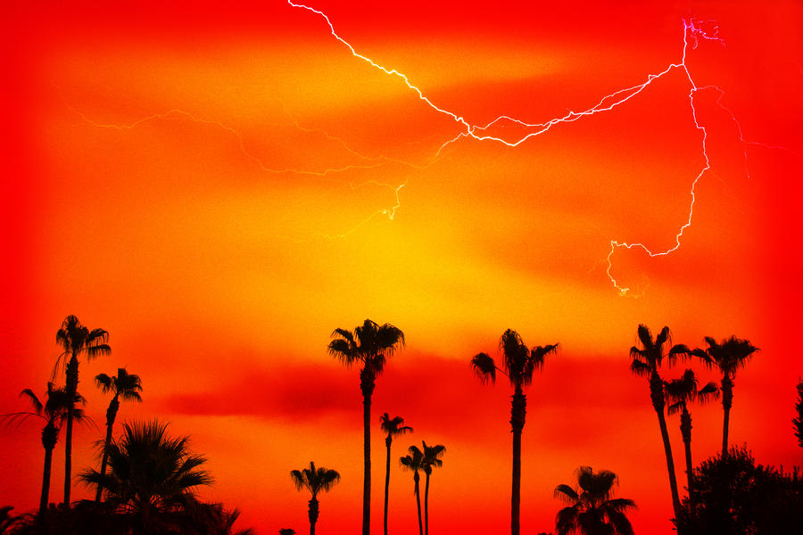 Sunset Lightning And Palm Trees by James BO Insogna