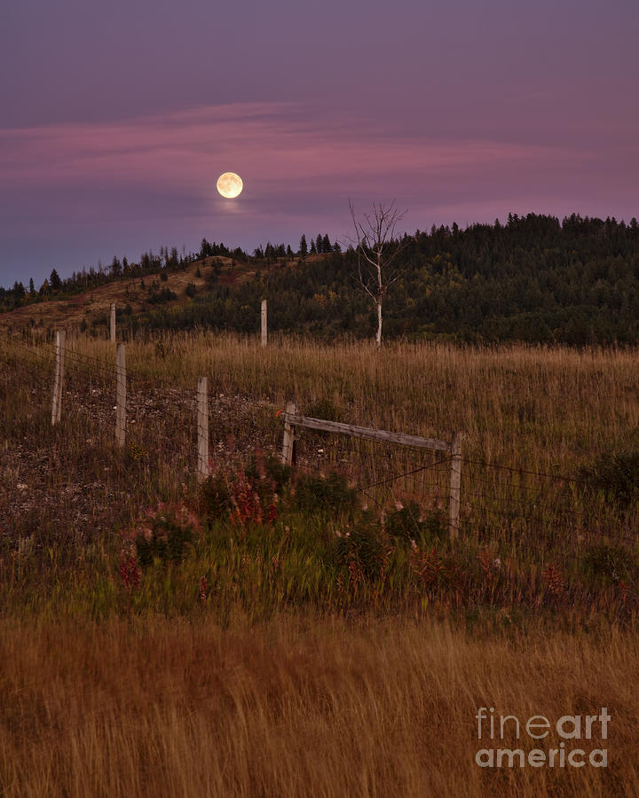 sunset moonrise