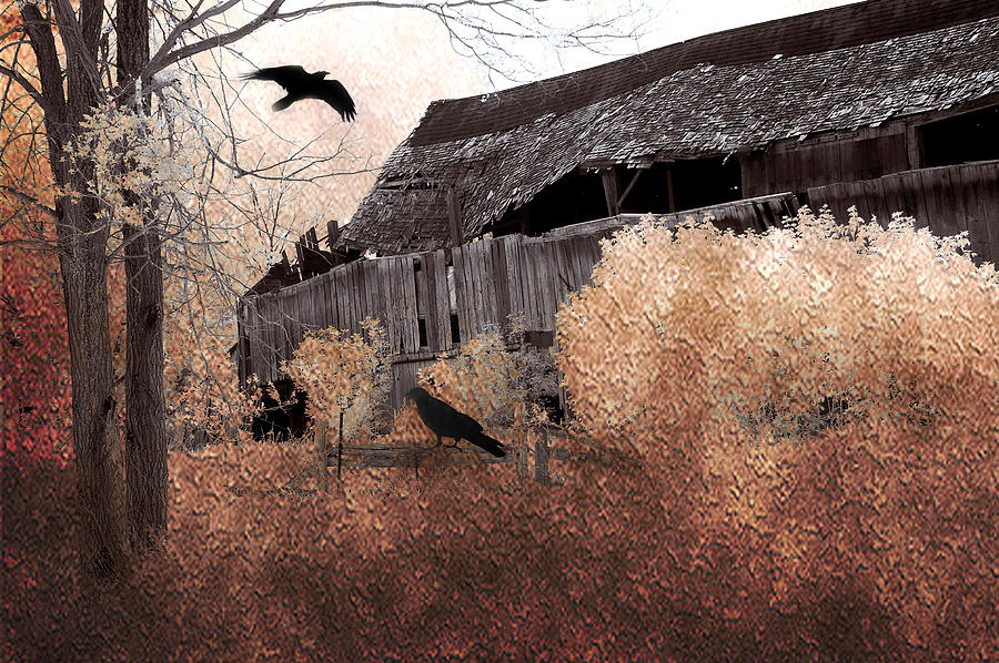 Old Barn Scenes