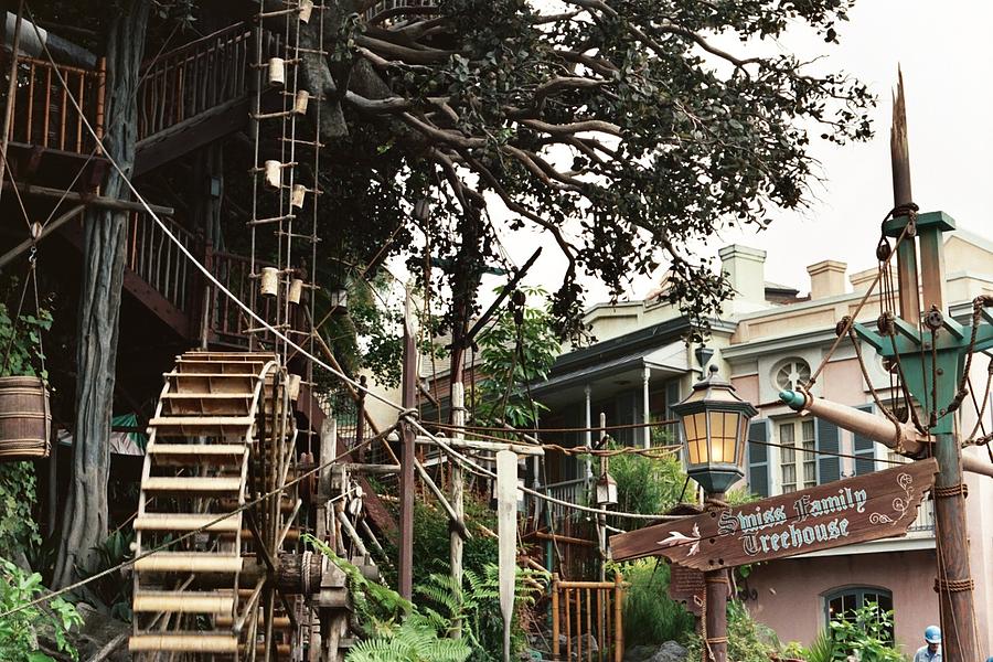 swiss-family-robinson-treehouse-entrance-photograph-by-john-mangani