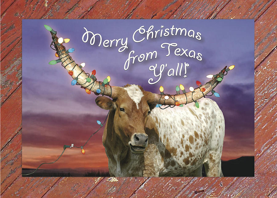 texas-christmas-card-robert-anschutz.jpg