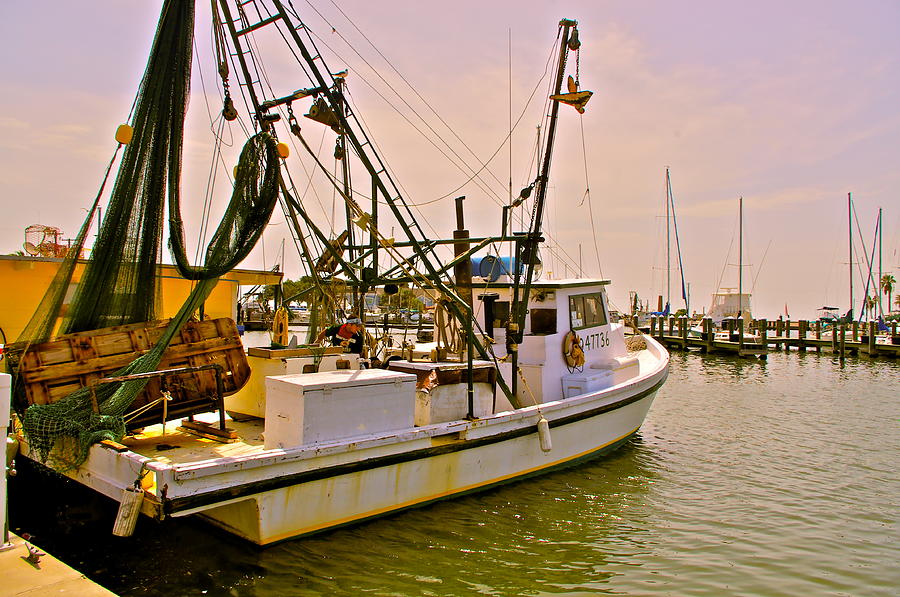 Texas Shrimp Boat Photograph By Frank SantAgata