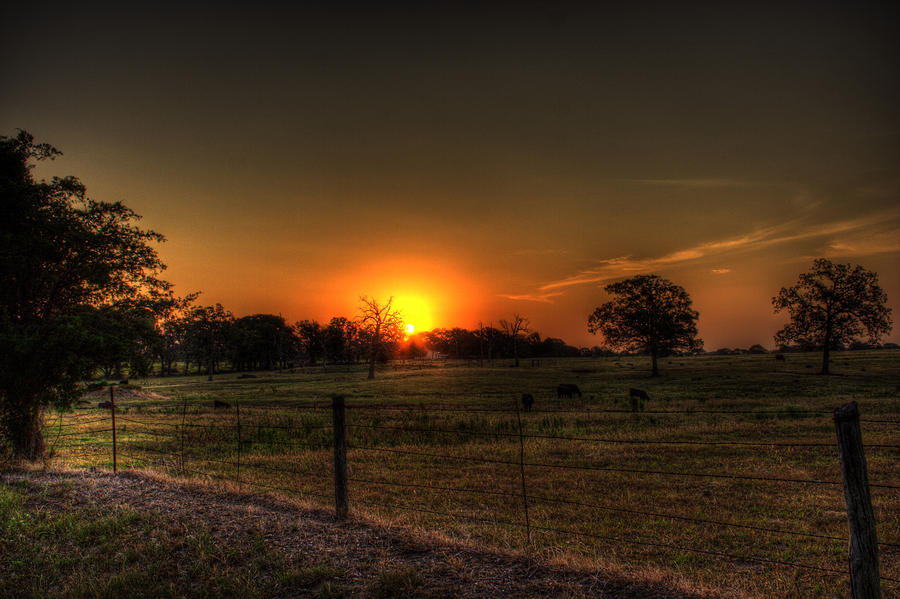 Texas Sunrise 2 Photograph By Barry Jones