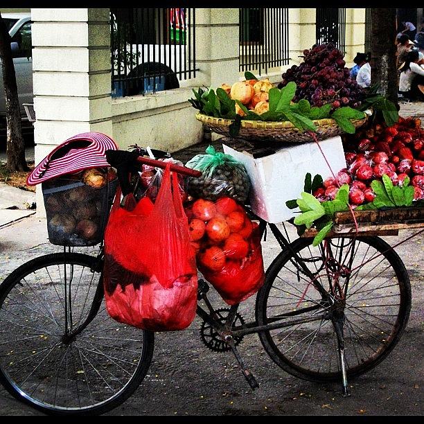 Fruit Bike