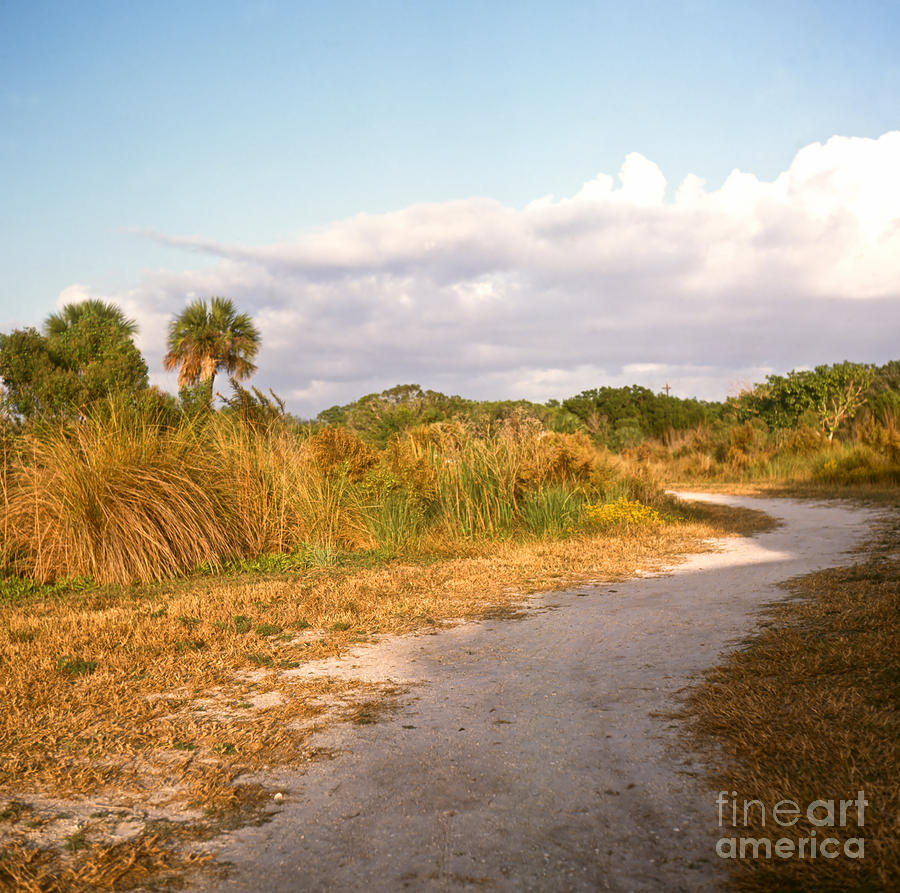 Rosemary Island