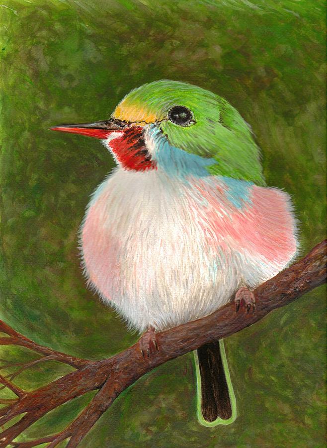 cuban tody