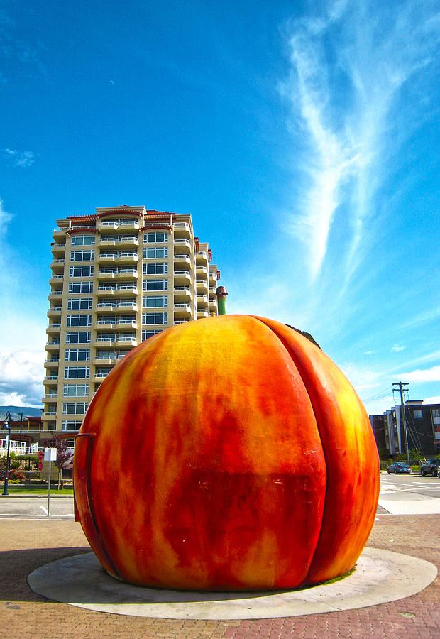 The Penticton Peach Photograph by Infinitimage Canada