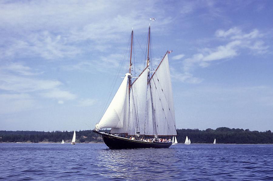 Bluenose Schooner Photos