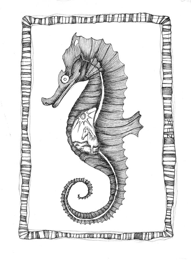 seahorses drawings