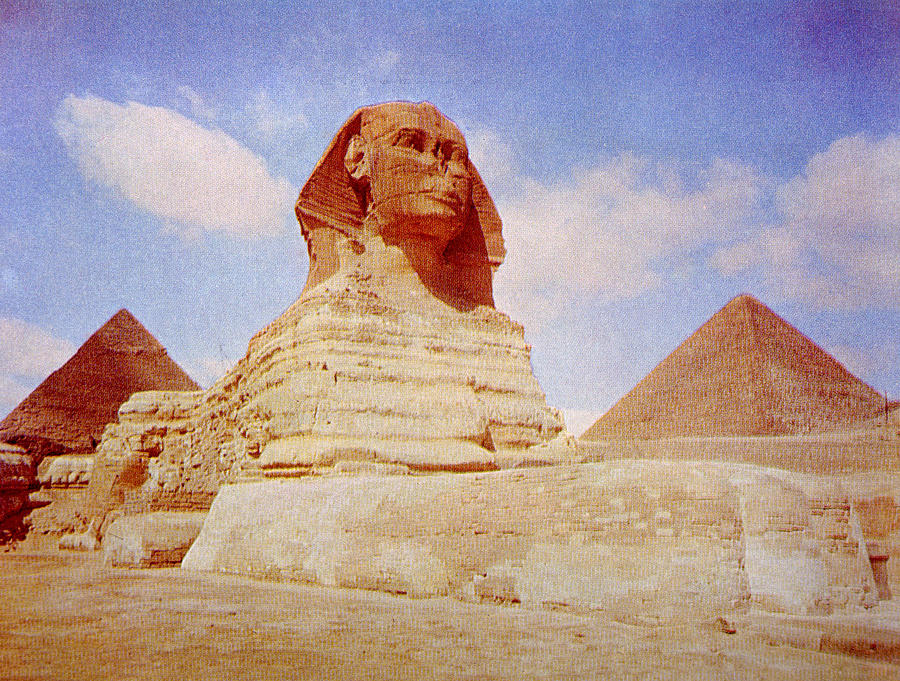 king sphinx