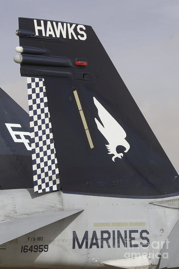the-tail-fin-of-an-fa-18d-hornet-stocktrek-images.jpg