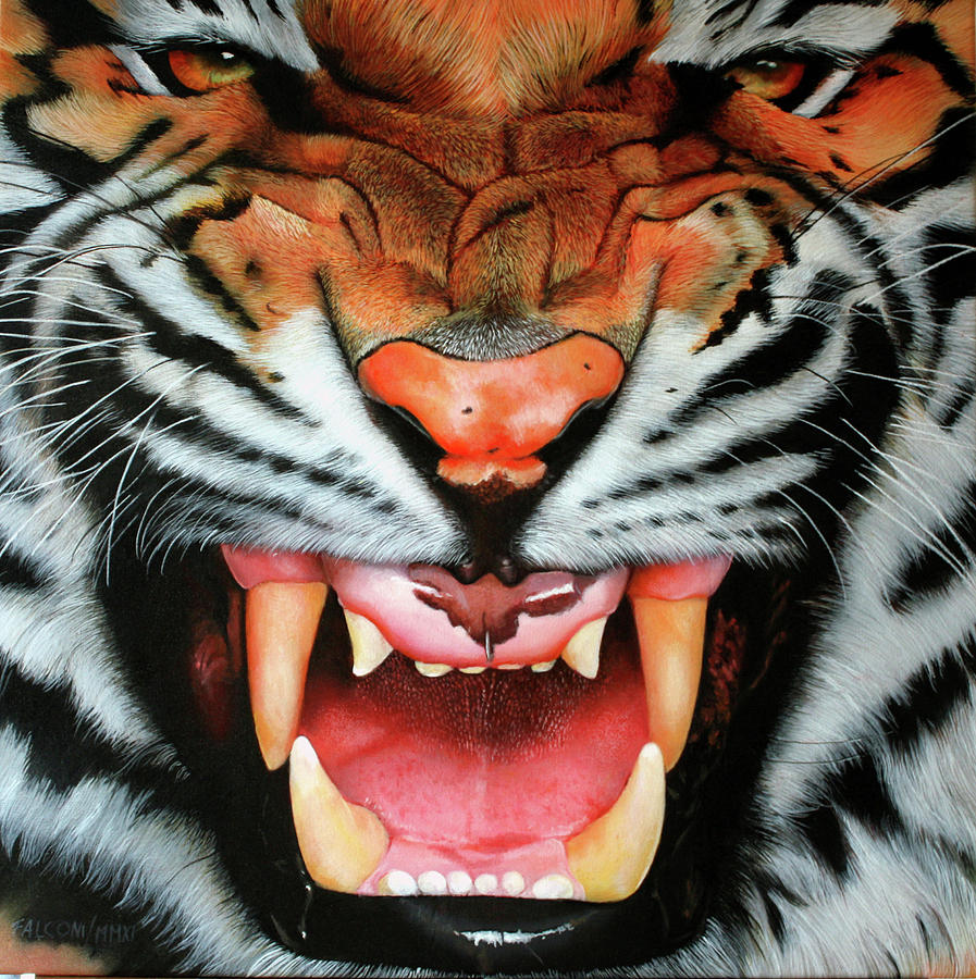 Tiger Face