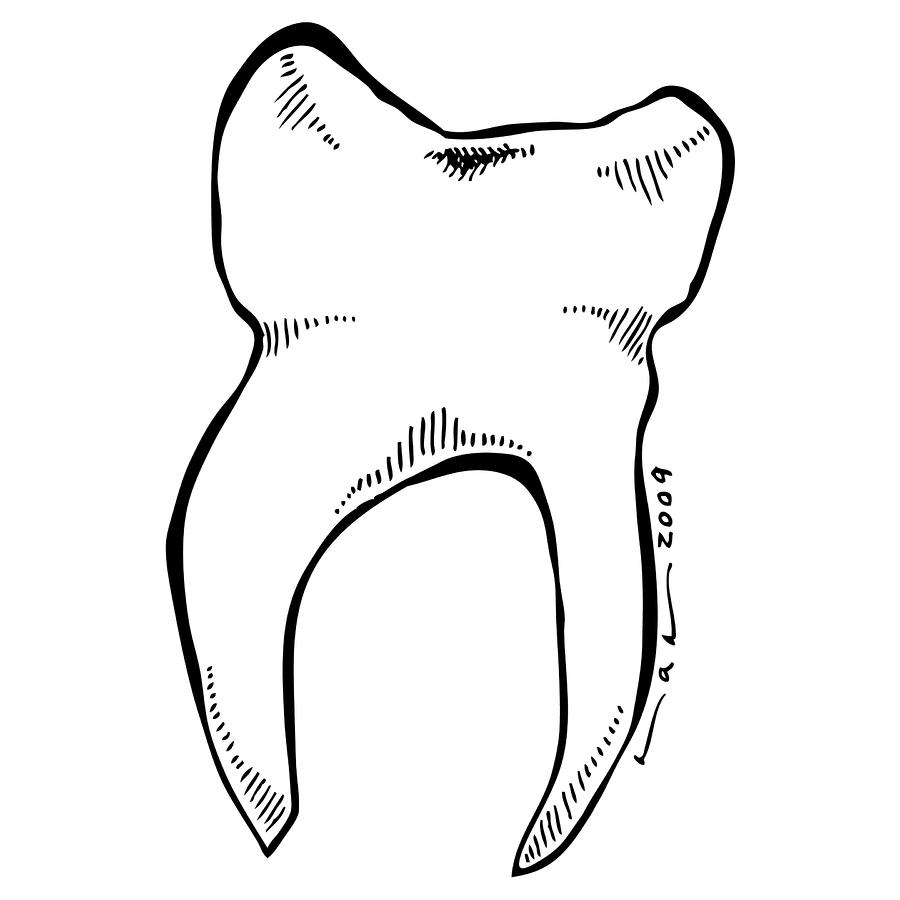 Tooth by Karl Addison