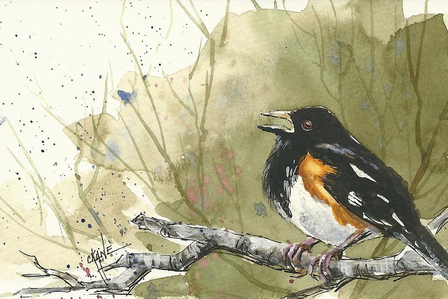 towhee call by christine c towhee call by christine c