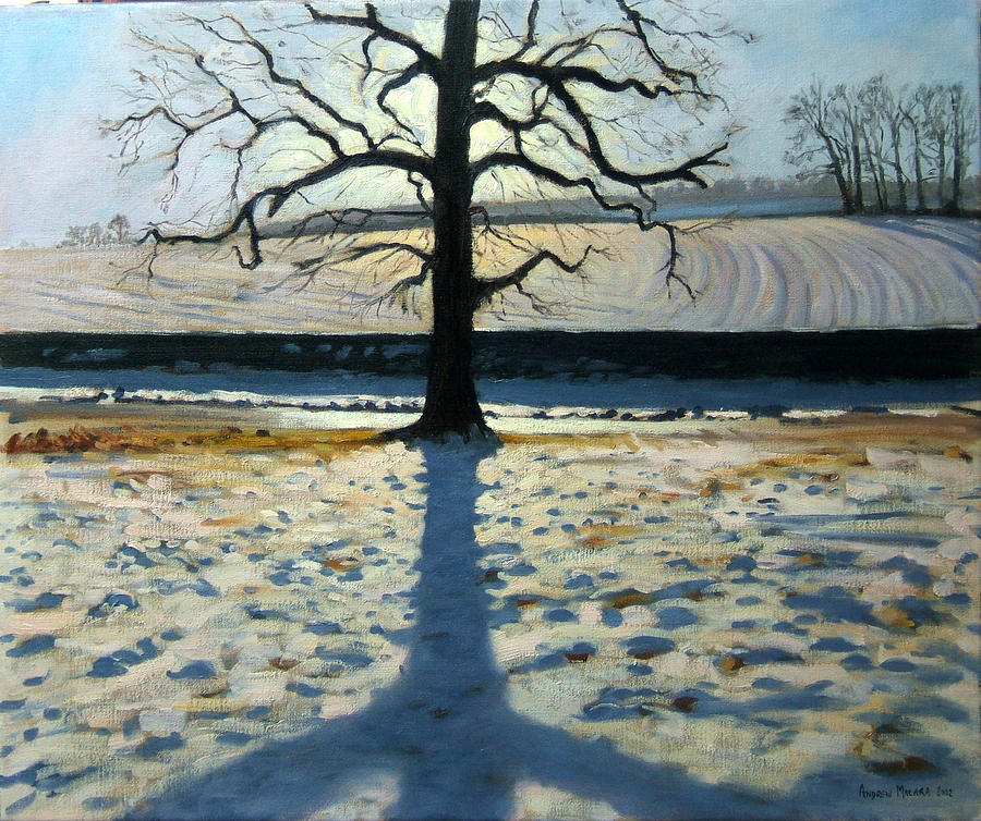 Tree And Shadow Calke Abbey Derbyshire Painting