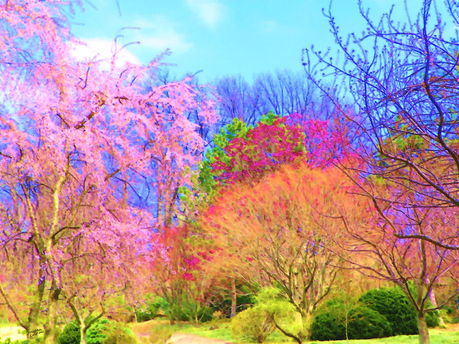 trees with color by susanna katherine trees with color by susanna katherine