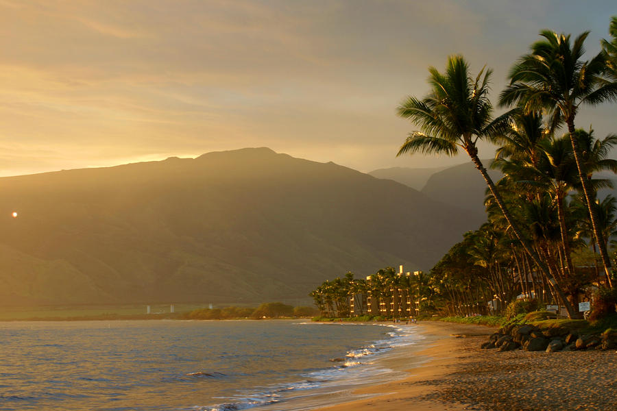 http://images.fineartamerica.com/images-medium-large/tropical-hawaiian-paradise-pierre-leclerc.jpg