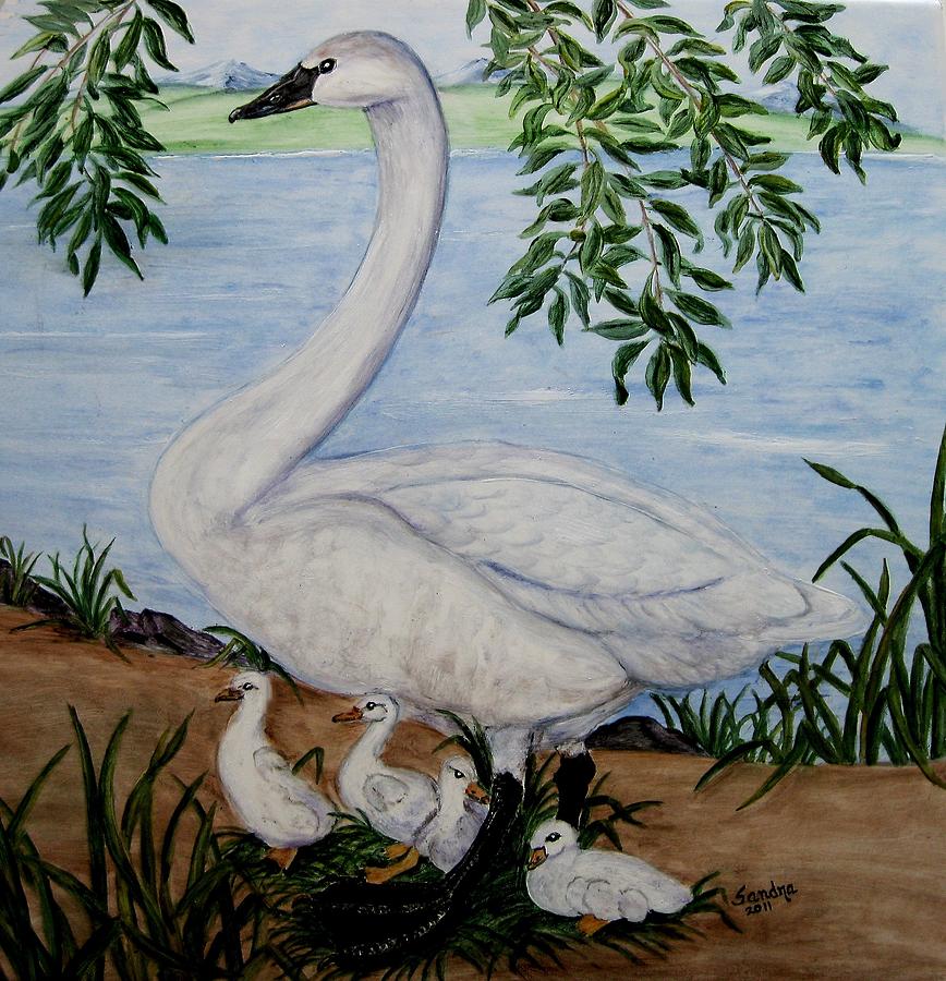 Trumpeter Swan Cygnets