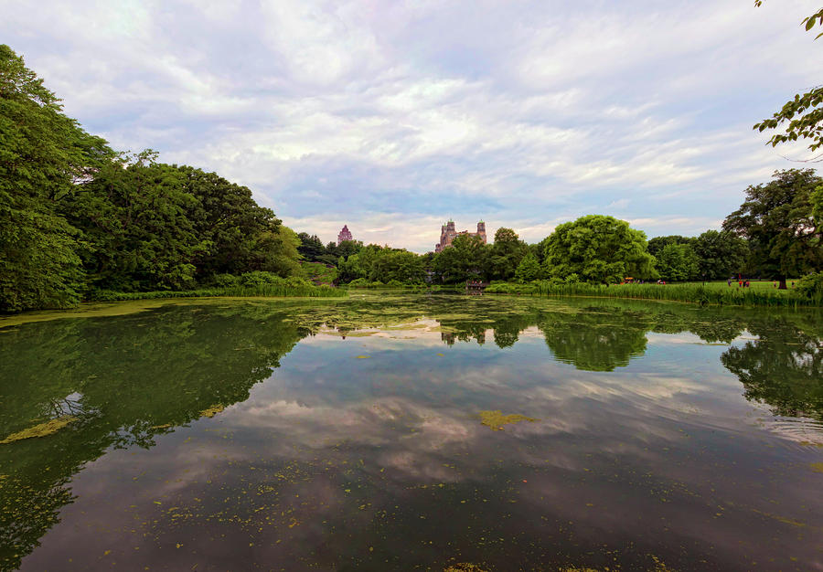 Turtle Pond Central Park Nyc by Robert Ullmann