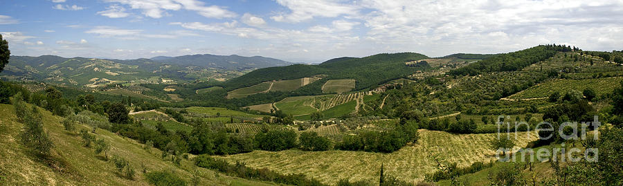 - tuscany-wineyards-jozsef-gal