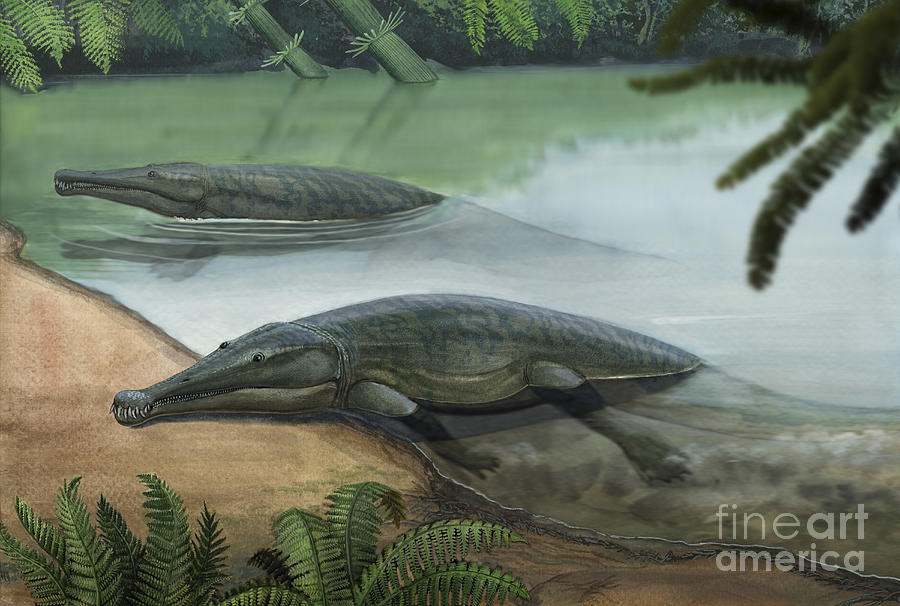 two-prehistoric-platyoposaurus-sergey-krasovskiy.jpg