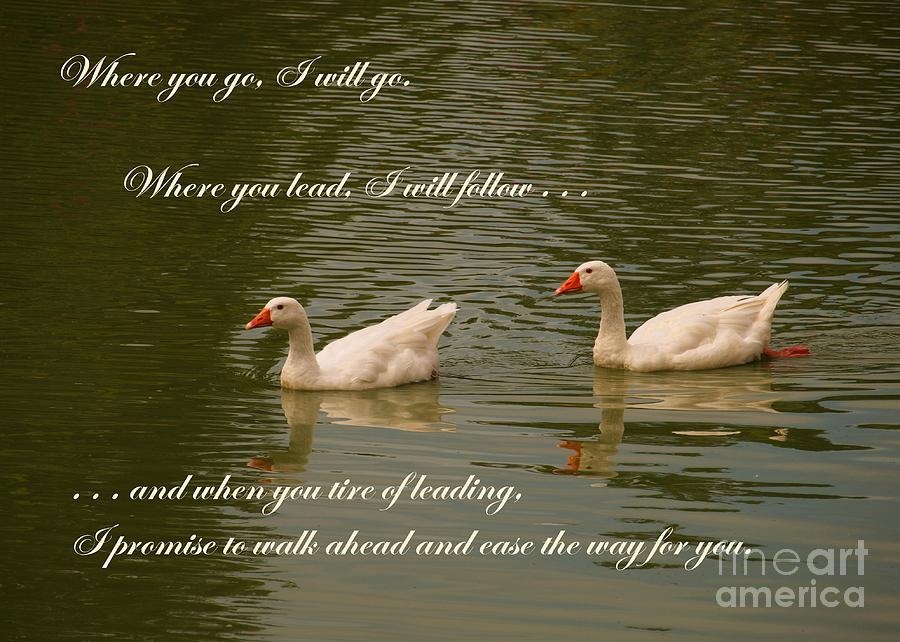 Two Swans Wedding Theme Photograph Two Swans Wedding Theme Fine Art 