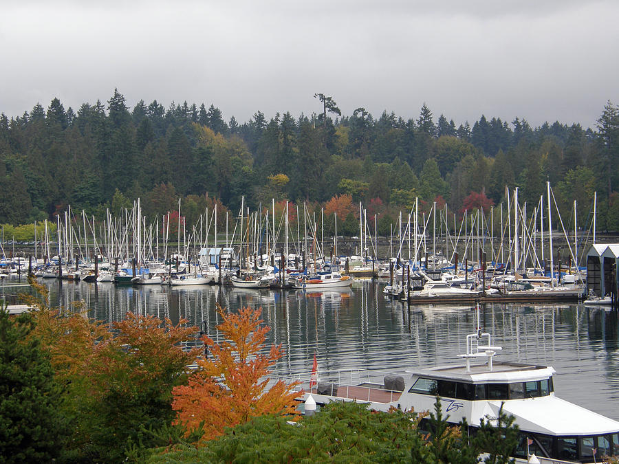  - vancouver-harbour-diane-barrett