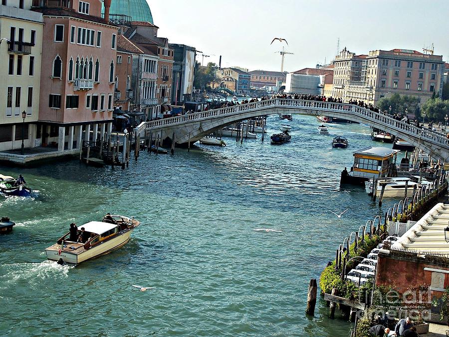 Venice Waterway Photograph by Tisha Clinkenbeard