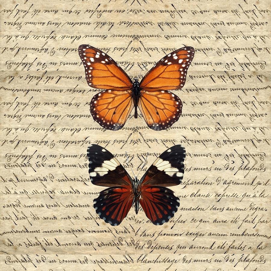 Vintage Butterflies Digital Art Vintage Butterflies Fine Art Print 