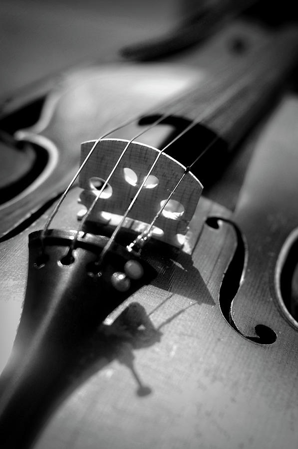 Violin By Danielle Donders Mothership Photography 7979