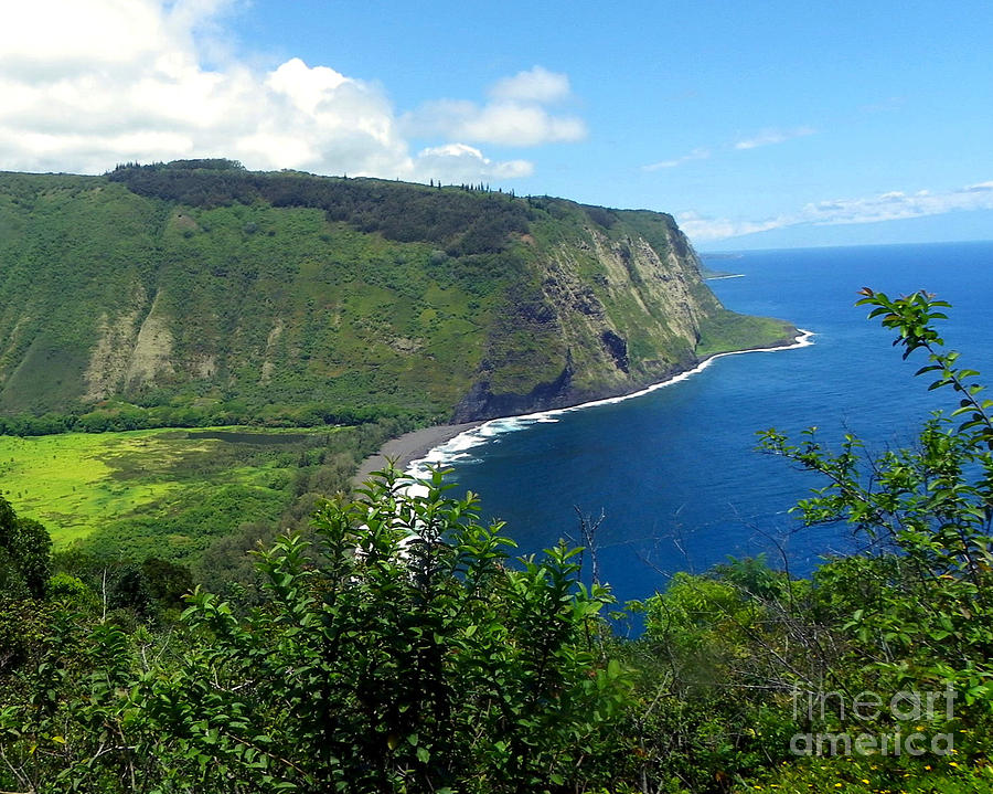Download this Waipio Valley History picture