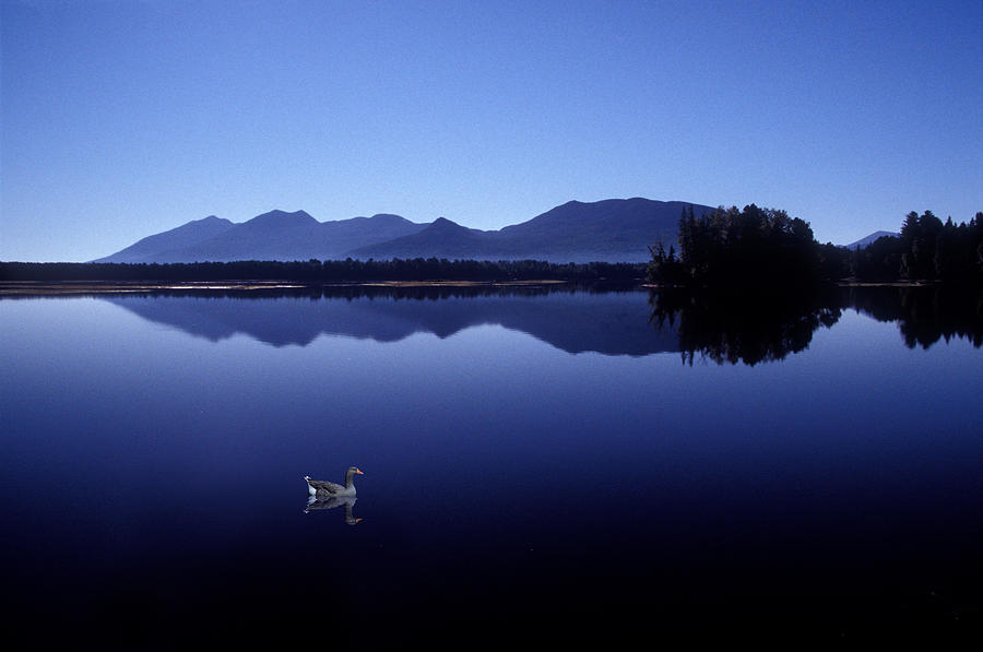 water mirror