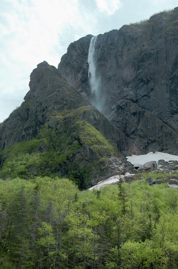 Waterfall Gros Morne National Park Canada Photograph