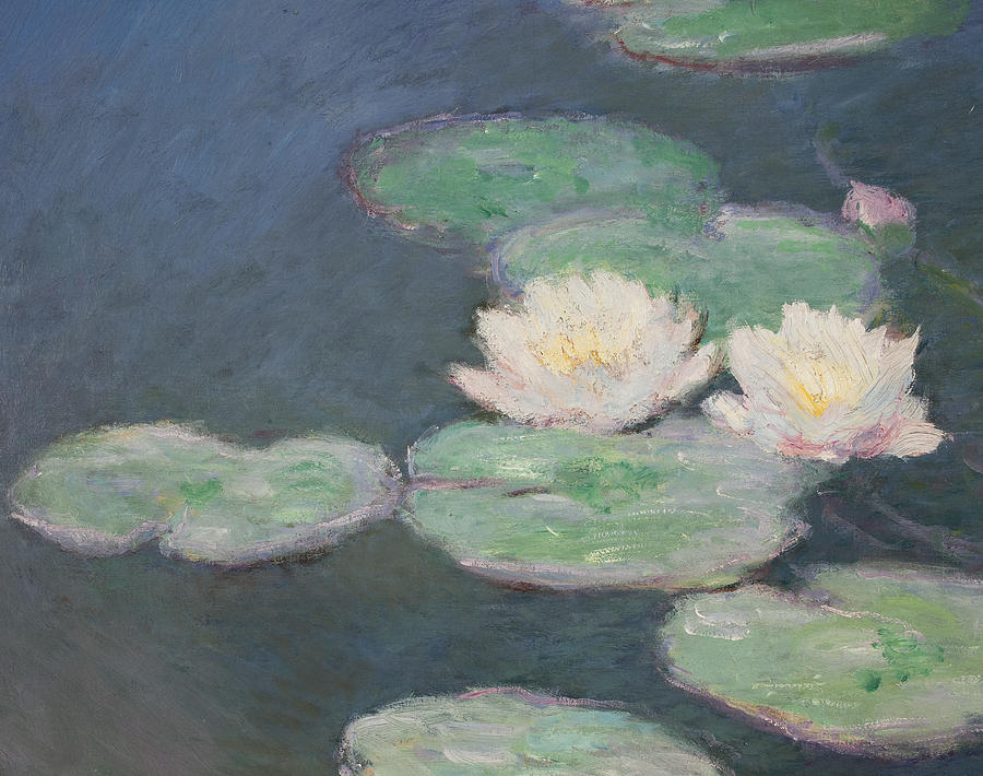 Waterlilies by Claude