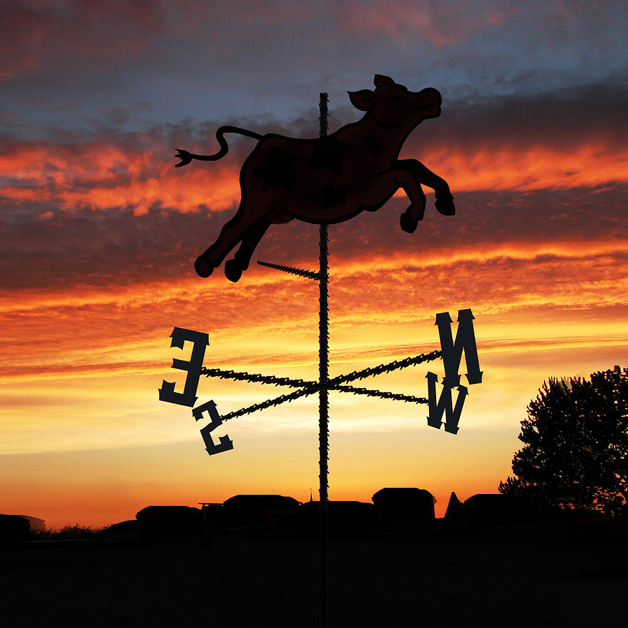 Weathervane Art