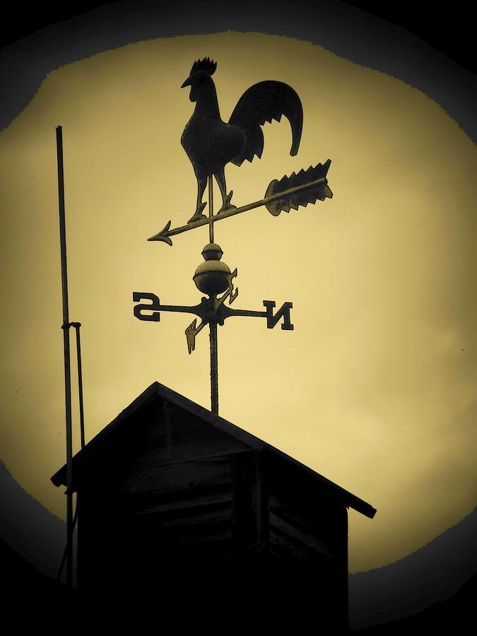 Weathervane Art