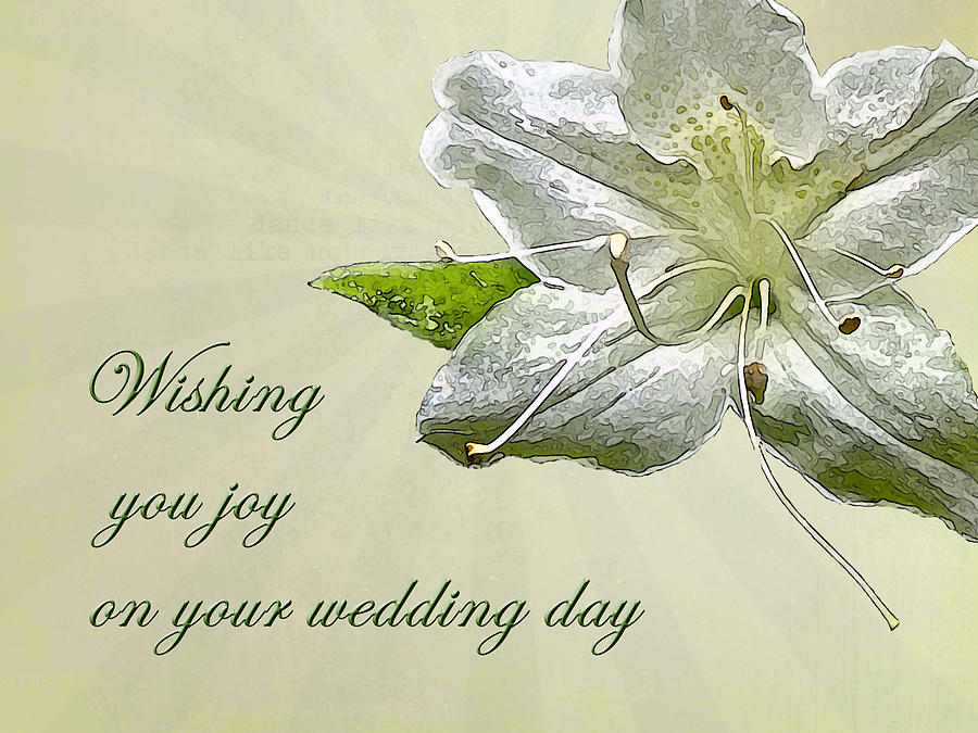 Wedding Wishes Card White Azalea Photograph Carol Senske